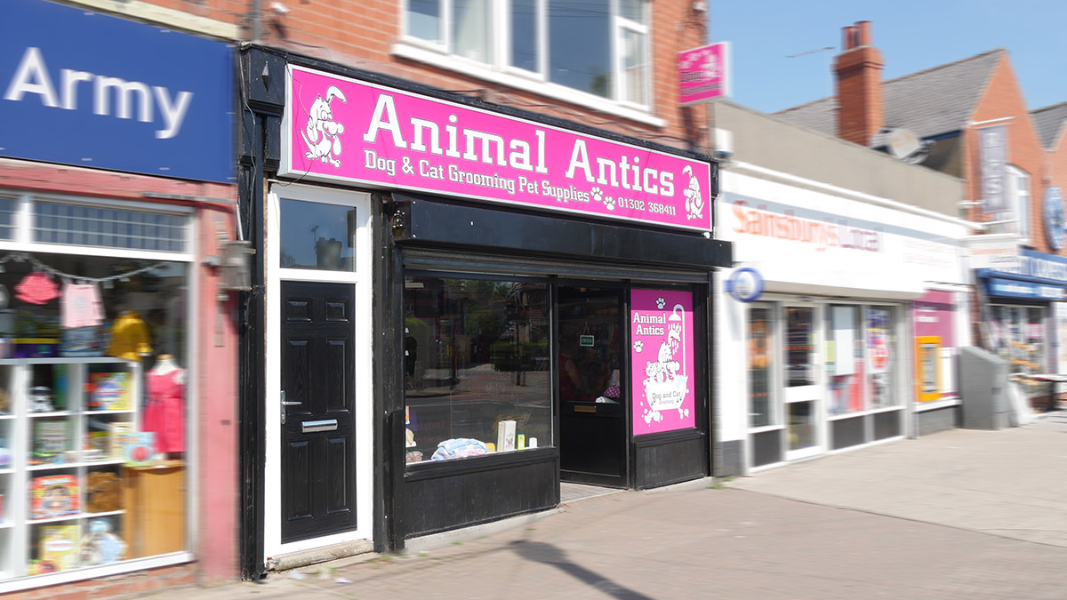 Gallery Animal Antics