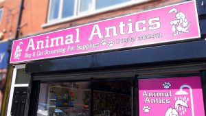 animal antics doncaster